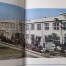 송학초병설유치원 이미지