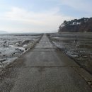 서산갯마을낙지 이미지