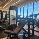 헬스 맛 짐 이미지