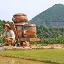 마을회관옆 이미지