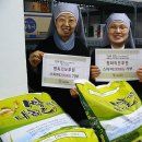 앤디스토어 이미지