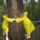 백두대간약초마을 이미지