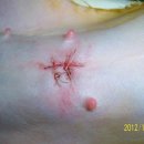 이상록동물병원 이미지