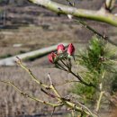 예밀농장 이미지