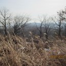 학천1리 이미지