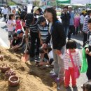 천등산고구마축제 2019 이미지