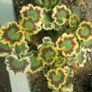 인석농장 이미지