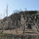 재명농장 이미지