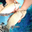 산삼마을오티건강원