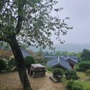 강동로-53 이미지