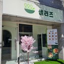 샐러즈 이미지