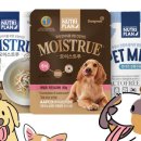 퍼피플랜 이미지