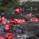 안덕계곡 앞 3 이미지