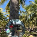 윈 짐(win gym) | 2) | 코코넛 마켓 | 징짜이 마켓 | 굿굿즈 | 와로롯시장 | 윈코스매틱 | 기빙트리 마사지 | 첫 카오쏘이