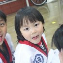 연세태권도체육관 이미지