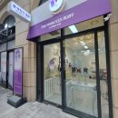 프린세스 애견 이미지