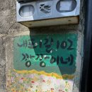 포동마을 | ㅣ 시골 촌캉스 감성으로 몸무게 제한없이 대형견까지 가능한 단독 애견운동장대여 ㅣ 포동 멍래블