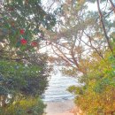 여남민박 이미지