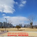 찬스공인중개사사무소 이미지