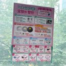 으뜸플러스안경 목동점 | 가성비 넘치는 목동안경 &#39;으뜸플러스안경 서울목동점&#39;