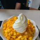 파파엔도터 | 과일이 살아 있는 제주 애플망고 빙수 파파엔도터
