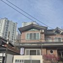 신신플라워 이미지