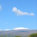 정일농장 이미지