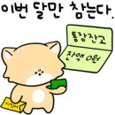 쥬니버스 네이버블로그