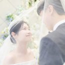 다온가 | 가성비 본식스냅 다온가온스냅 후기