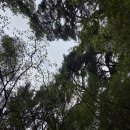 개심사공중화장실화장실 이미지