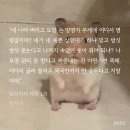 동경메디교역상사 | 담당자의 재량 (한시내 저) | 줄거리, 등장인물, 회차 정보 스포일러 및 완독 리뷰