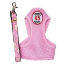 스타일펫 이미지