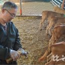 경락농장 이미지