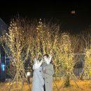 반디기독학교 | 대안학교 면접 후기(초등 음악)