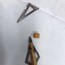 대학로동물병원 이미지