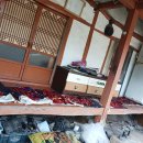 금빛초등길 이미지