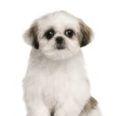 김해 동물병원 이미지