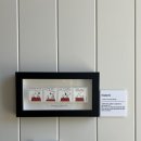 빌라드로이 이미지