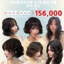 [뷰티] 마이오헤어학동점 빈티지펌 내돈내산 후기｜학동역 미용실 추천 (마이오헤어재이쌤)