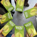 성하갈비 | 계획은 있었는데 기억은 없는 3월🧠