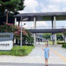 바흐학 개론 이미지