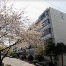 신월아이파크공인중개사사무소 이미지