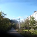 용봉약국 이미지