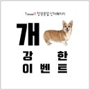 팀일레븐 - 해운대구 해운대로191번길 10 | 팀일레븐
