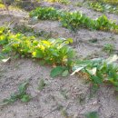 가을농장 이미지