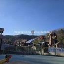 휴양림하우스 | 🌲 충북 보은 알프스자연휴양림 트리하우스 솔직후기 (예약, 할인, 단점까지)