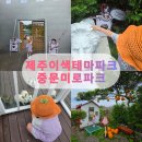 제주미로공원 추천! 서귀포 아이와 가볼만한곳 중문미로파크 후기