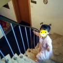 무성당구장 이미지