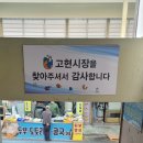 경남 거제도 여행 고현시장 추천 맛집 코스 주차장 정보
