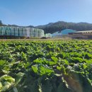 송촌한우농장 이미지